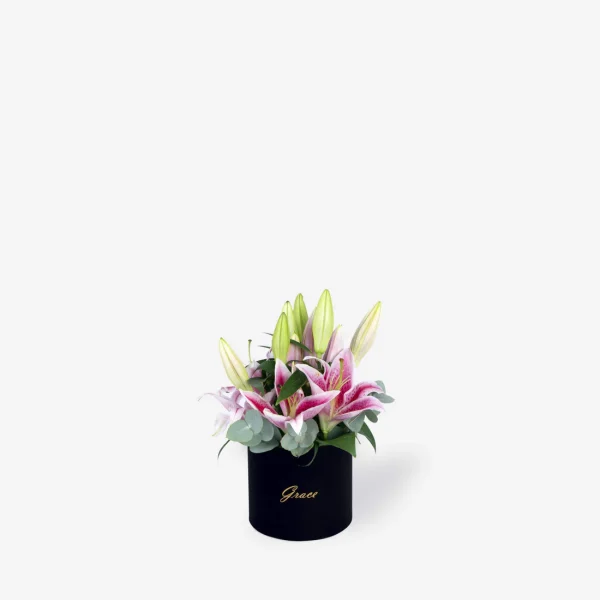 Small BlackBox PinkLilies f30a9c50 a215 4c88 9741