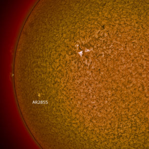 SUNSPOT MONITORING – AUGUST 12, 2021