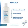 Ducray Squanorm Treatment Shampoo Dry Anti-Dandruff 200ml