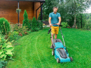yard-work-services