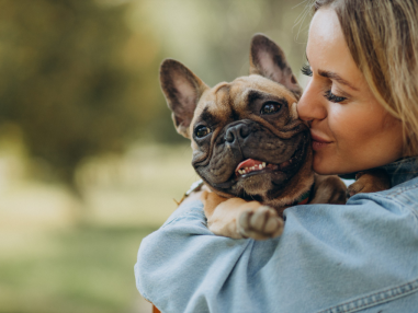 pets-and-animals